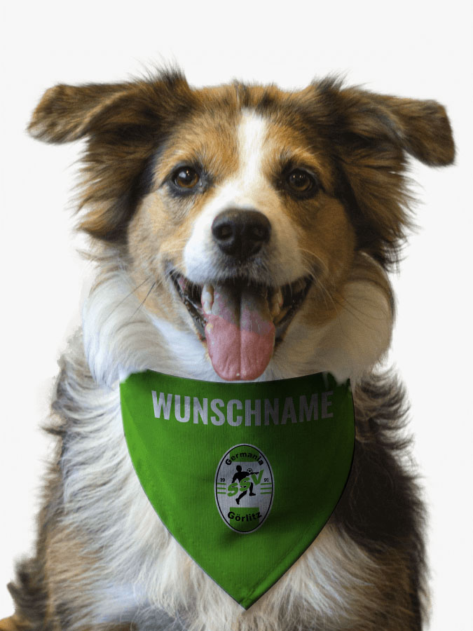 Hundehalstuch