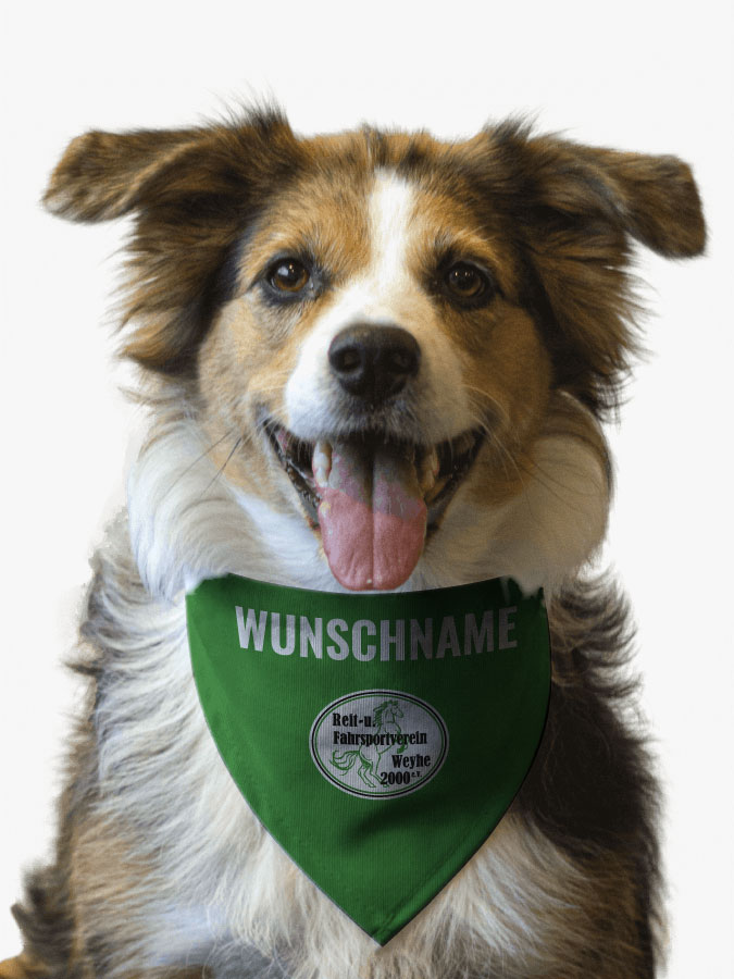 Hundehalstuch