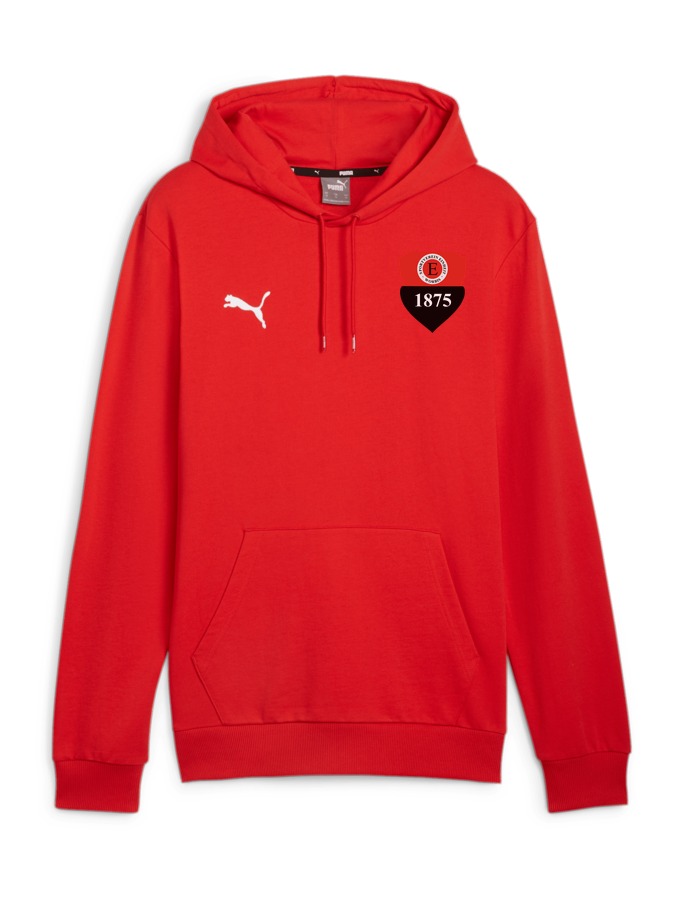 PUMA teamGOAL Casuals Hoody