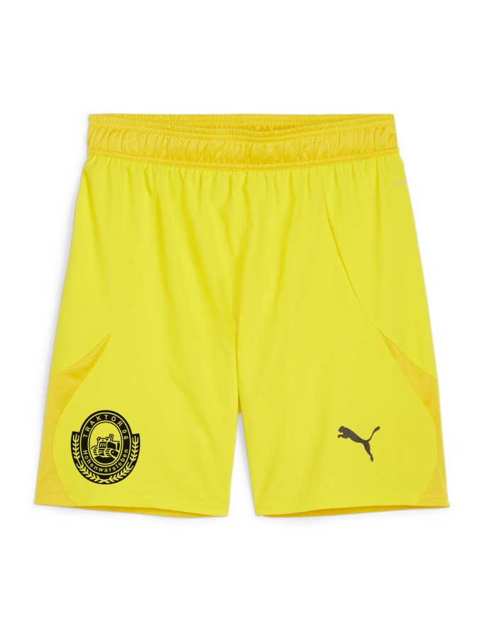 PUMA teamFINAL Shorts