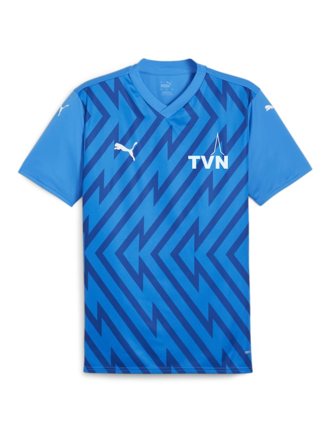 PUMA teamGLORY Trikot