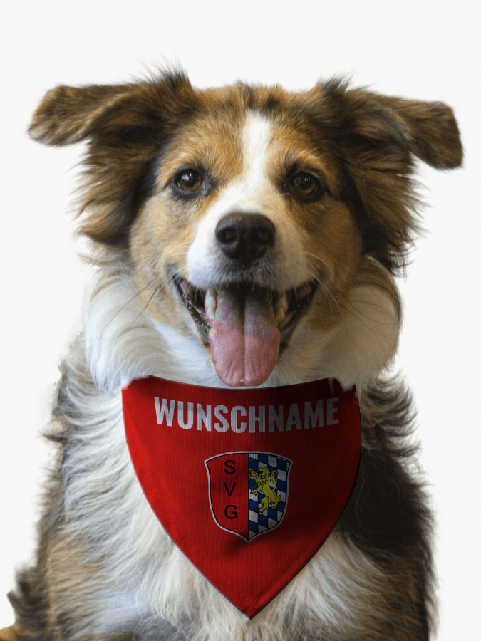 Hundehalstuch