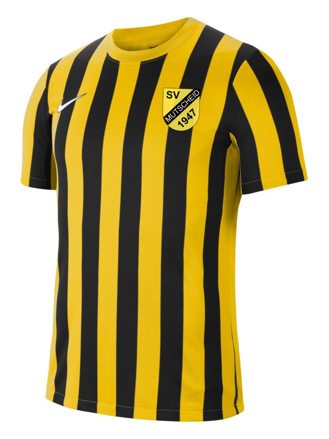 Nike Division 4 Striped Kurzarm Trikot