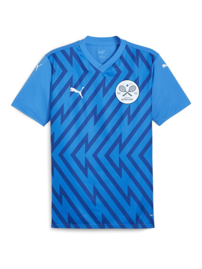 PUMA teamGLORY Trikot