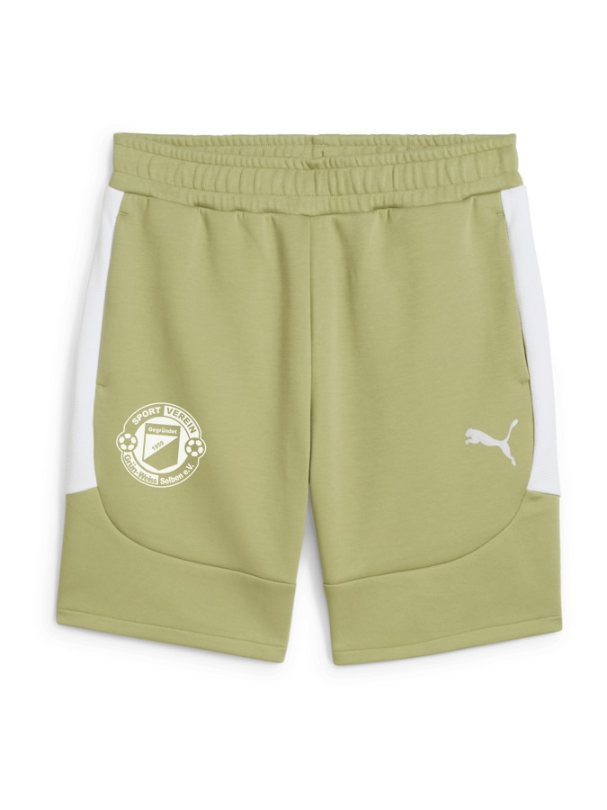 PUMA teamEVOSTRIPE Shorts