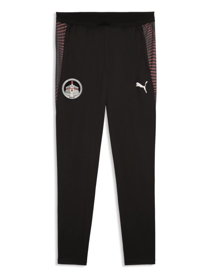 PUMA individualFINAL Trainingshose