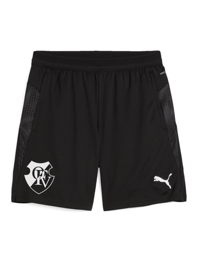 PUMA teamCUP Training Shorts