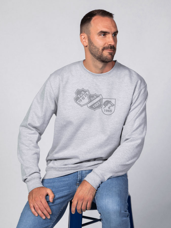 Sweater All Grey Herren