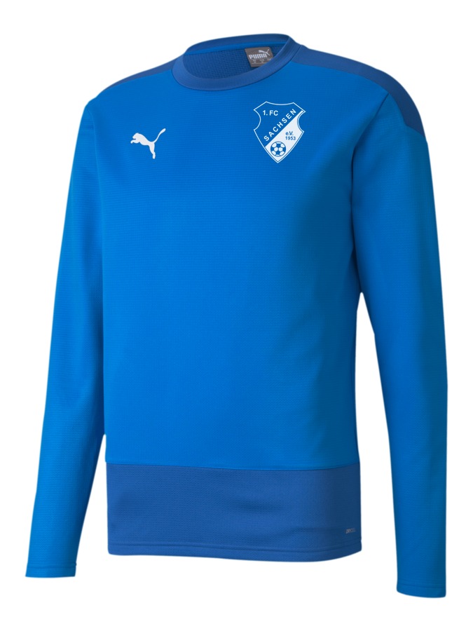 PUMA teamGOAL 23 Training Sweatshirt