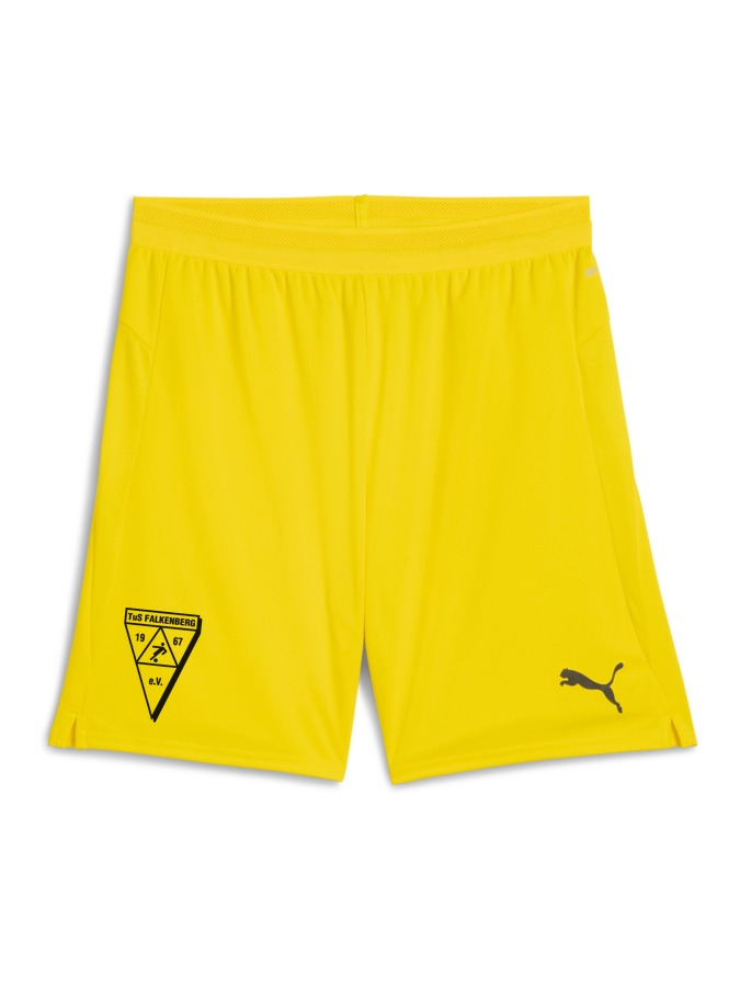 PUMA teamCUP Shorts