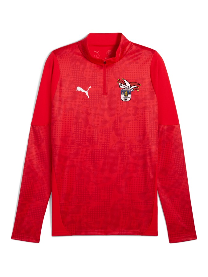 PUMA teamCUP Training 1/4-Zip-Top
