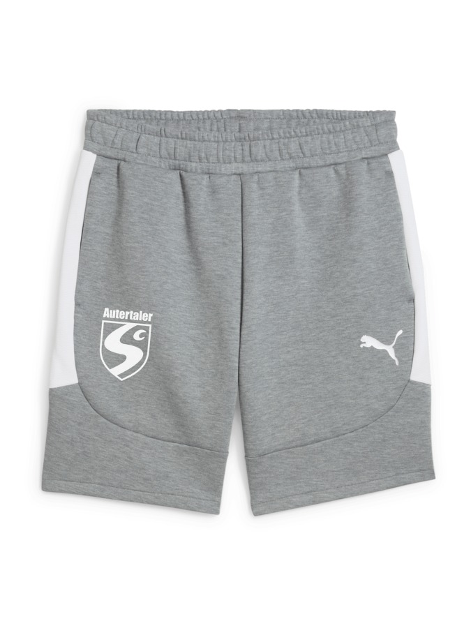 PUMA teamEVOSTRIPE Shorts