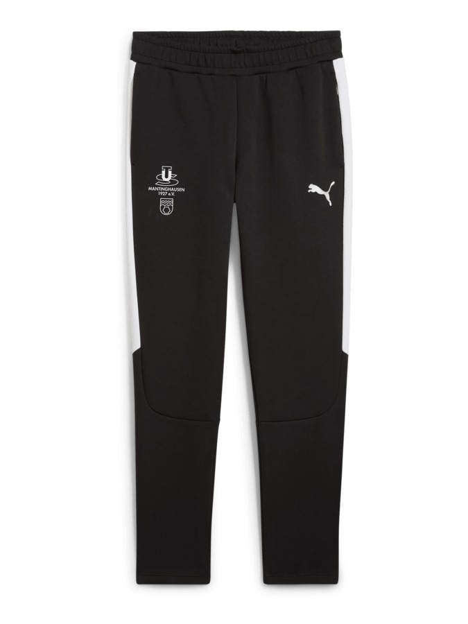 PUMA teamEVOSTRIPE Hose
