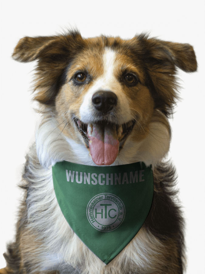 Hundehalstuch