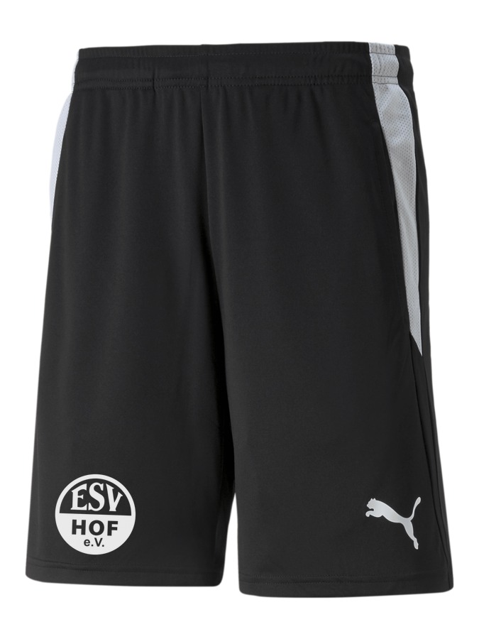 PUMA teamLIGA Referee Shorts