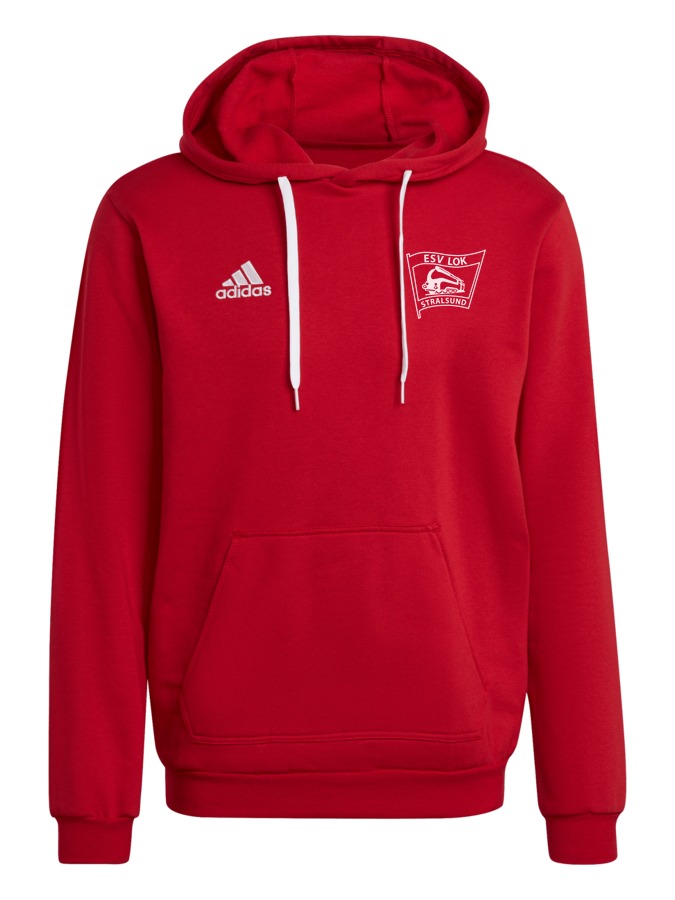 adidas Entrada 22 Hoodie