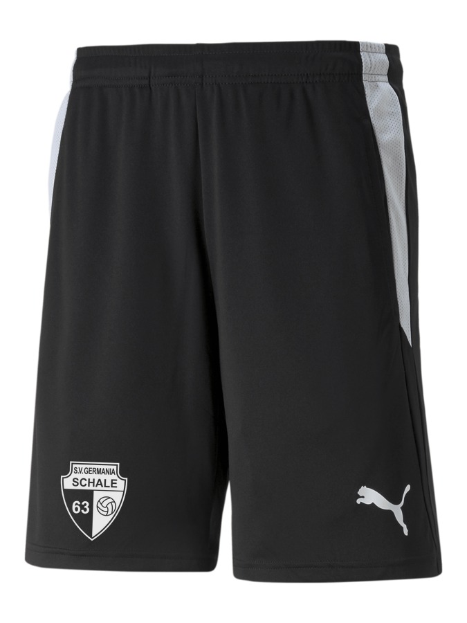PUMA teamLIGA Referee Shorts