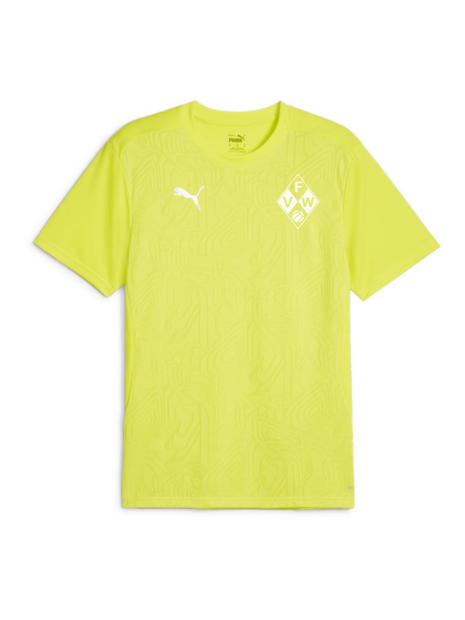 PUMA teamFINAL Trainingsshirt