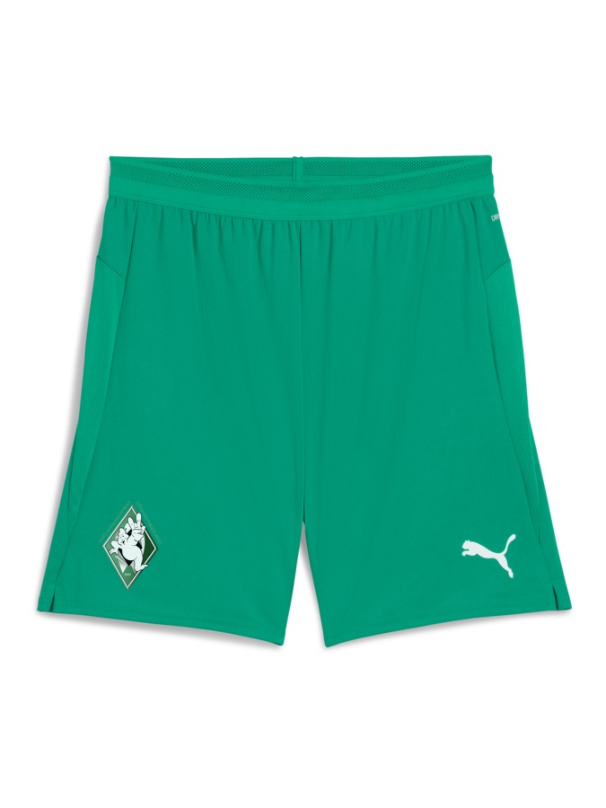 PUMA teamCUP Shorts
