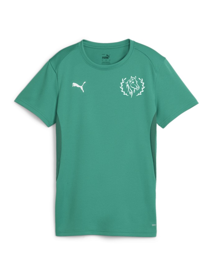 PUMA teamGOAL Trikot Damen