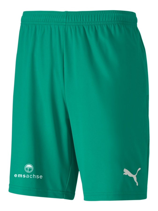 PUMA teamGOAL 23 Knit Shorts