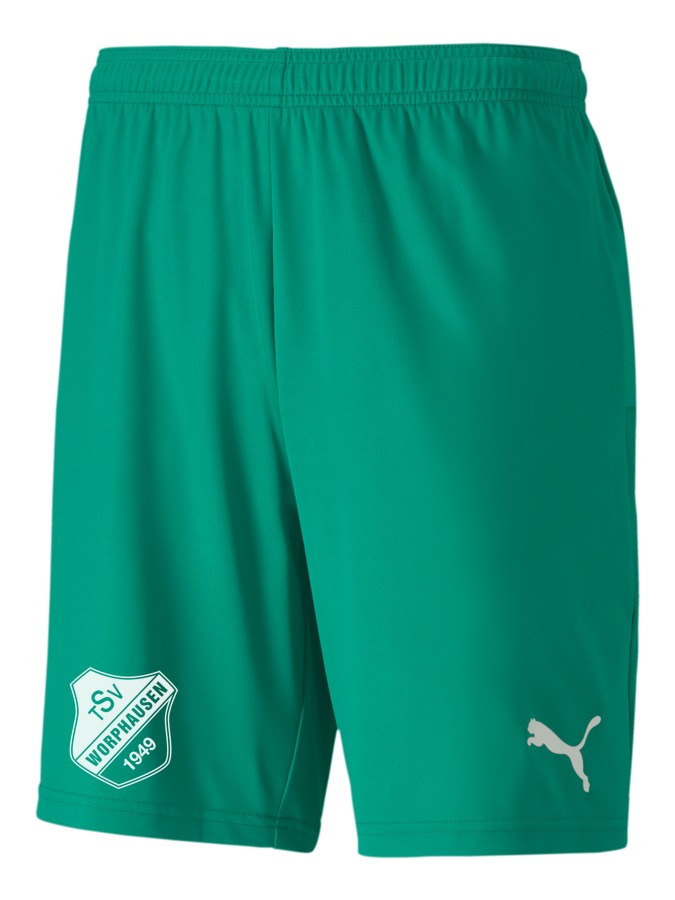 PUMA teamGOAL 23 Knit Shorts