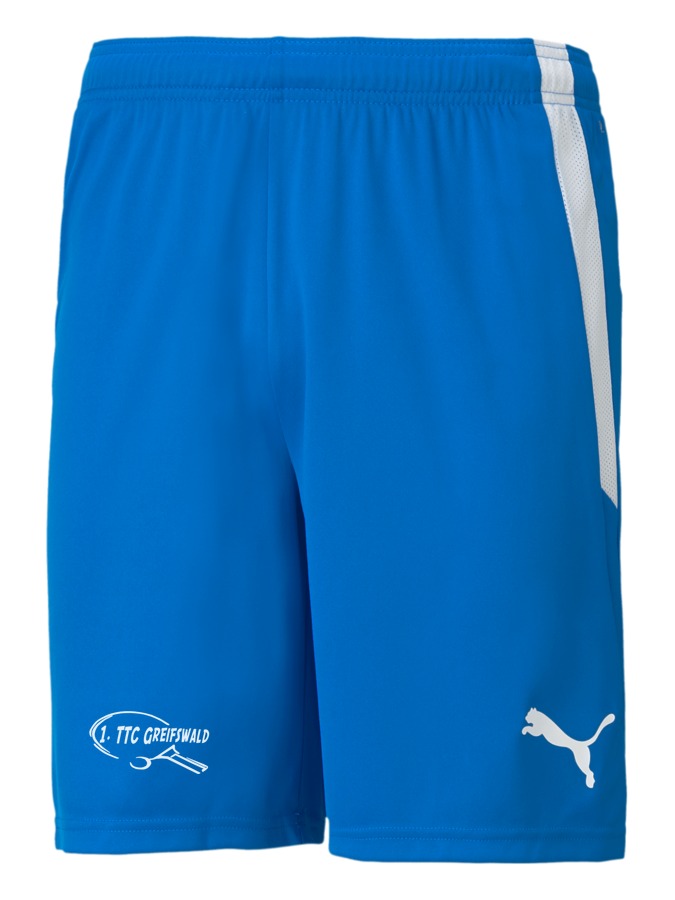 PUMA teamLIGA Shorts