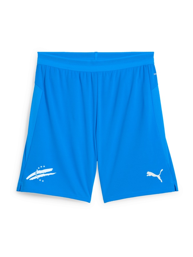 PUMA teamCUP Shorts