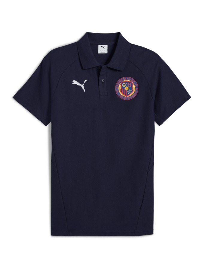 PUMA teamEVOSTRIPE Poloshirt