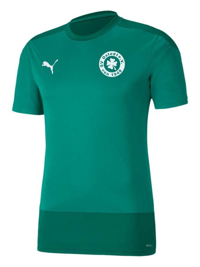 PUMA teamGOAL 23 Trainingsshirt