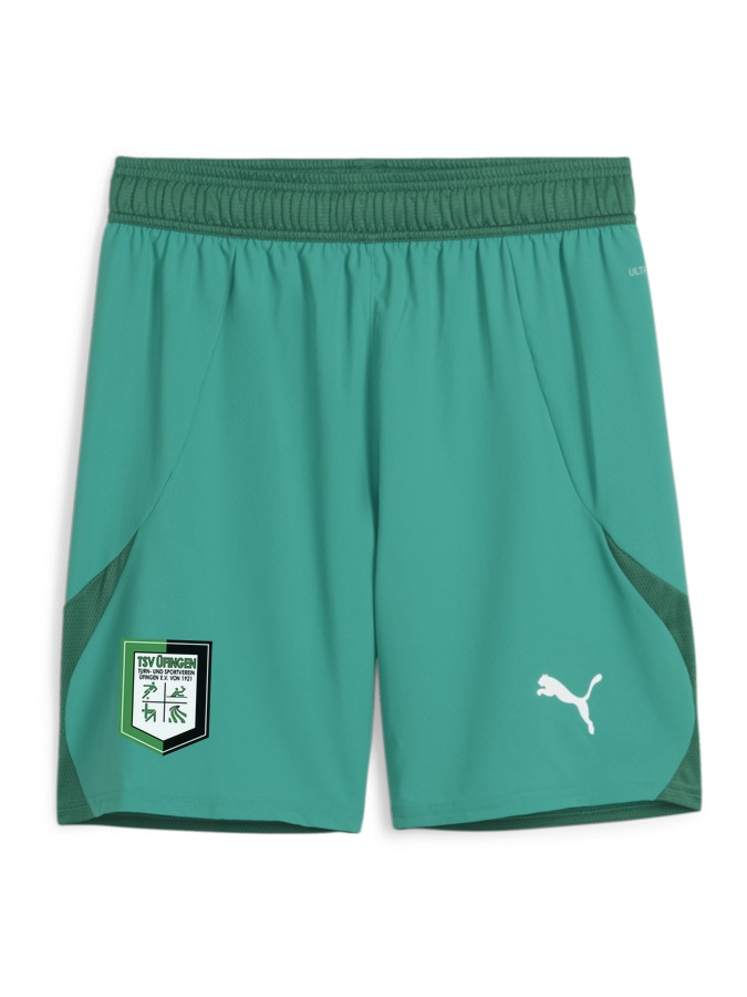 PUMA teamFINAL Shorts