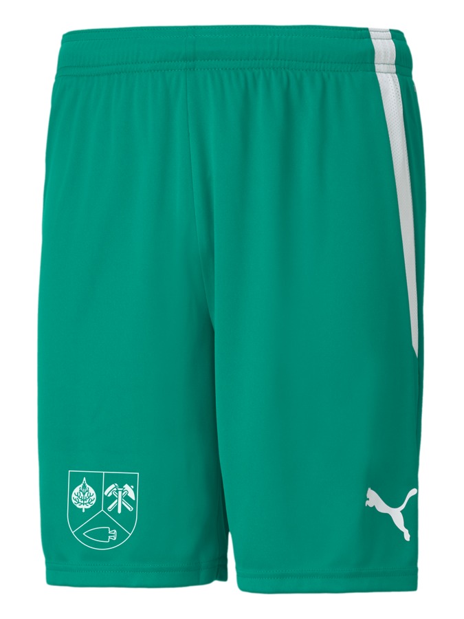 PUMA teamLIGA Shorts