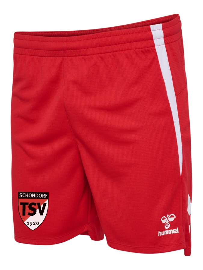 Hummel Lead 2.0 Shorts
