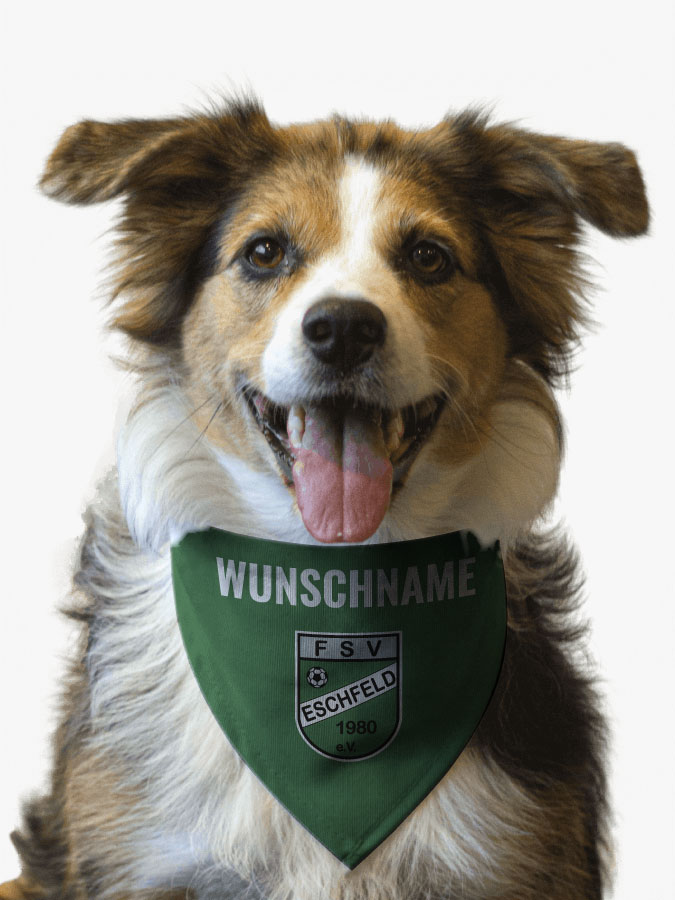 Hundehalstuch