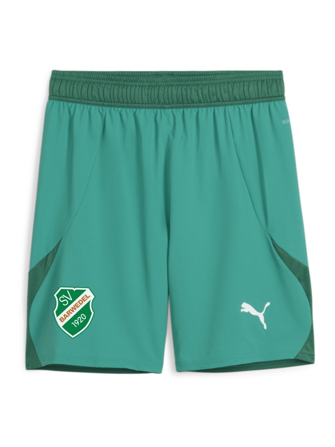 PUMA teamFINAL Shorts