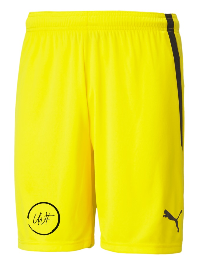 PUMA teamLIGA Shorts
