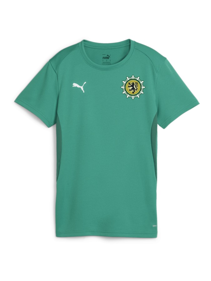 PUMA teamGOAL Trikot Damen