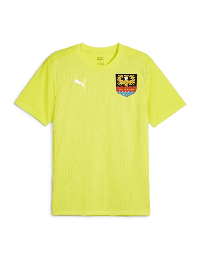 PUMA teamFINAL Trainingsshirt