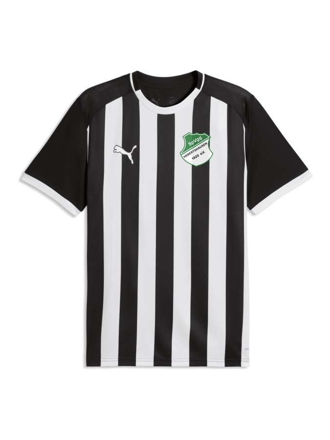 PUMA teamLIGA26 Striped Trikot