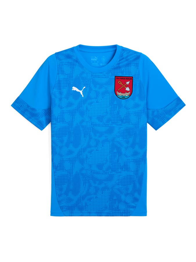 PUMA teamCUP Trainingsshirt