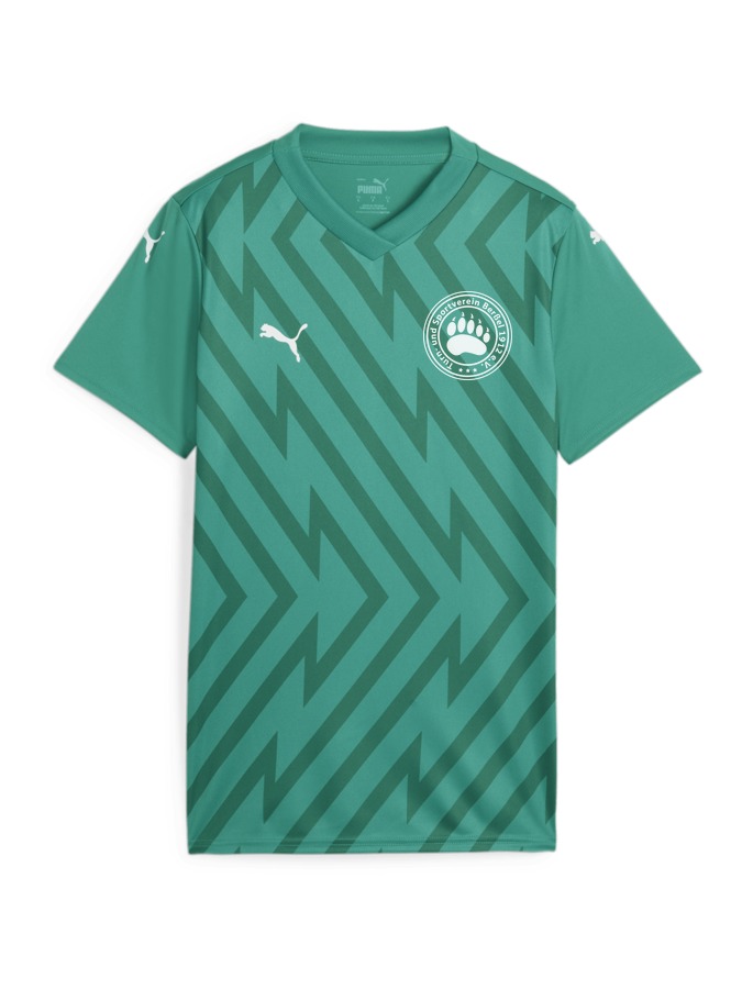 PUMA teamGLORY Trikot Damen