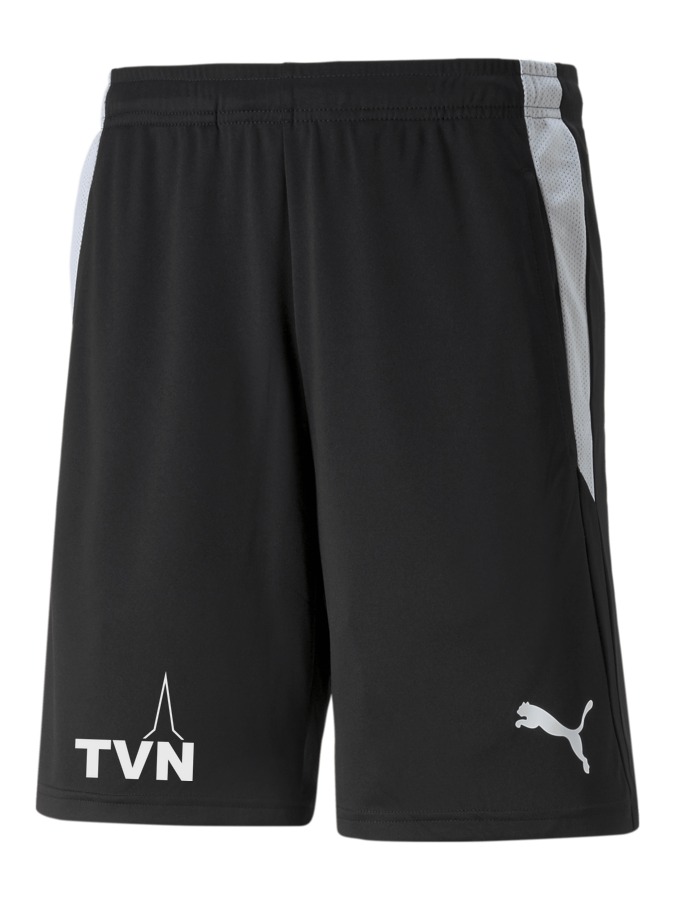 PUMA teamLIGA Referee Shorts