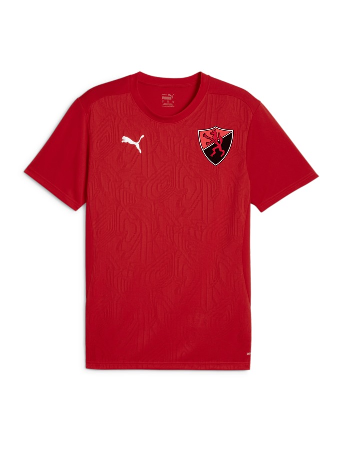 PUMA teamFINAL Trainingsshirt