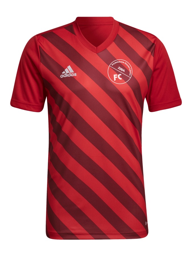 adidas Entrada 22 GFX Trikot