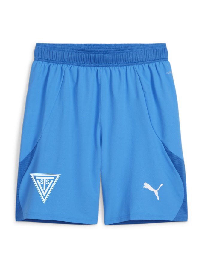 PUMA teamFINAL Shorts