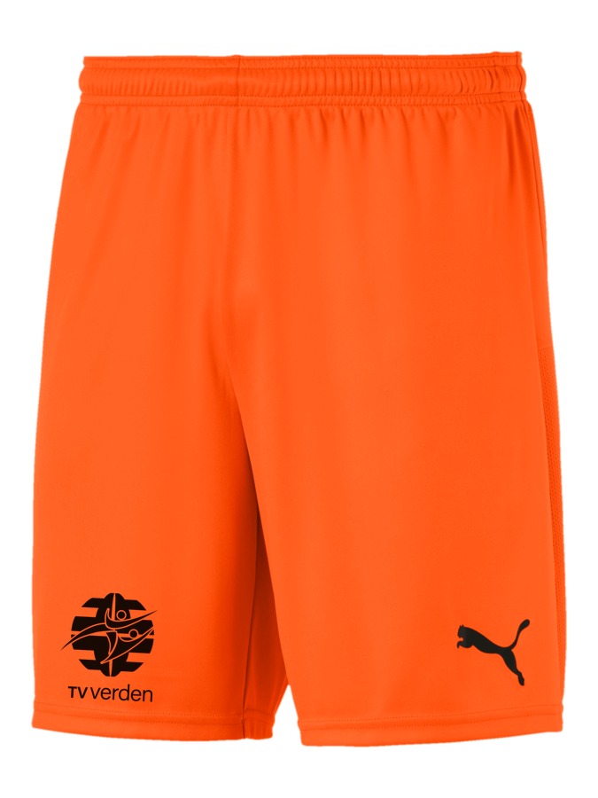 PUMA teamGOAL 23 Knit Shorts