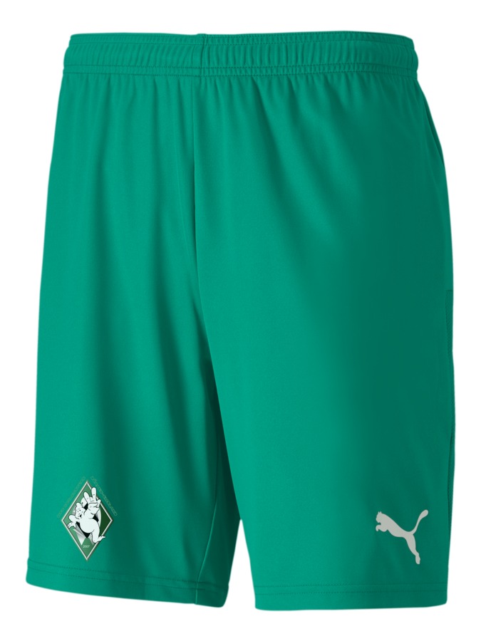 PUMA teamGOAL 23 Knit Shorts