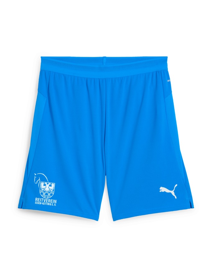 PUMA teamCUP Shorts