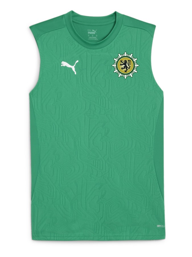 PUMA teamFINAL Trainingstanktop