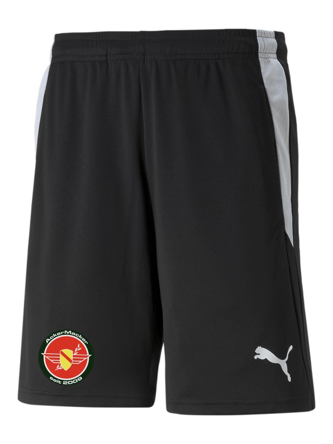 PUMA teamLIGA Referee Shorts